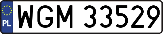WGM33529