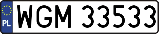 WGM33533