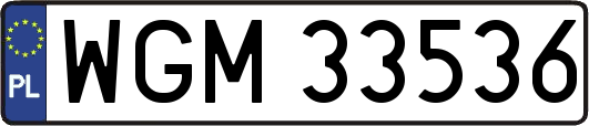 WGM33536