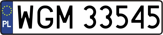 WGM33545