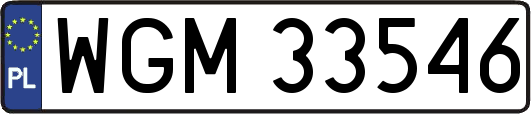 WGM33546