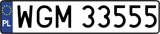 WGM33555