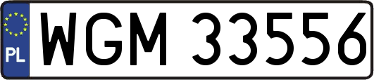 WGM33556