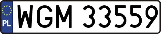 WGM33559