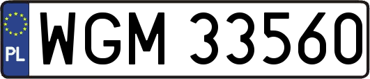 WGM33560
