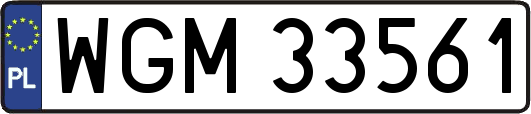 WGM33561