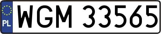 WGM33565
