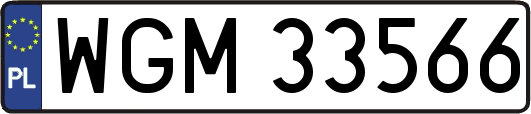 WGM33566