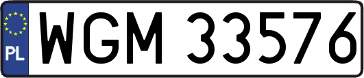 WGM33576