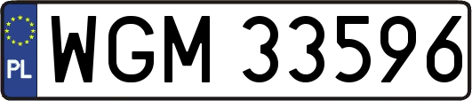 WGM33596