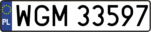 WGM33597