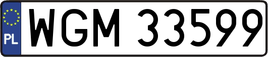 WGM33599