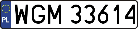 WGM33614