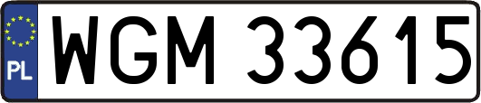 WGM33615