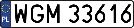 WGM33616