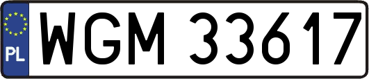WGM33617