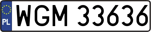WGM33636