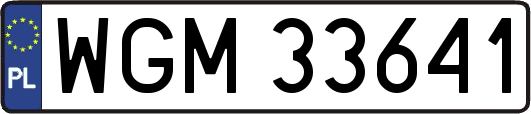 WGM33641