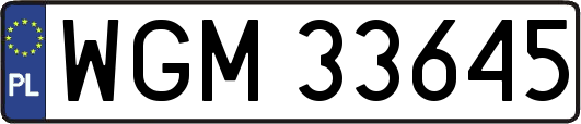 WGM33645