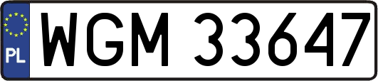 WGM33647