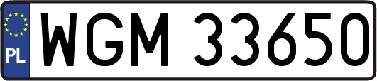 WGM33650