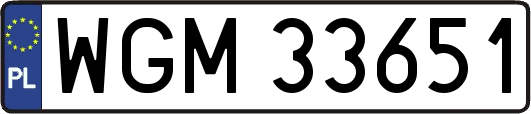 WGM33651