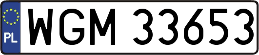 WGM33653