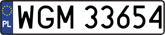 WGM33654