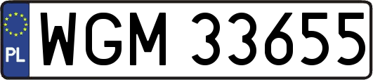 WGM33655