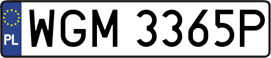 WGM3365P