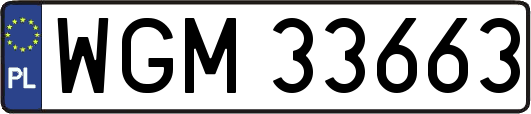 WGM33663