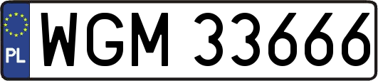 WGM33666