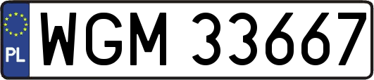 WGM33667