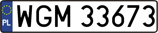 WGM33673