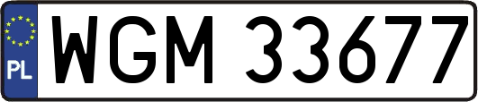 WGM33677