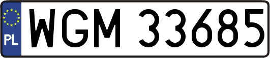 WGM33685