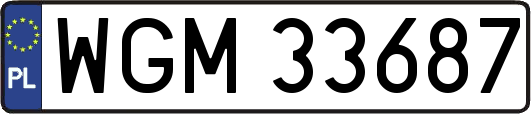 WGM33687