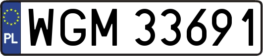 WGM33691