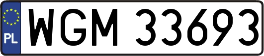 WGM33693