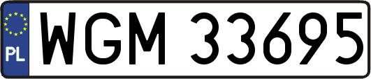 WGM33695