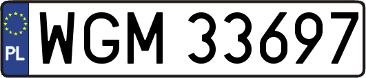 WGM33697