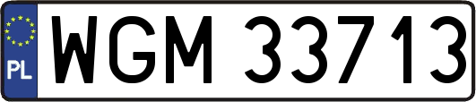 WGM33713