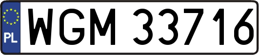 WGM33716