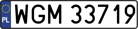 WGM33719