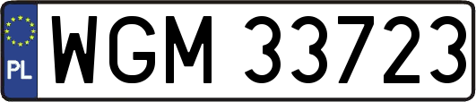 WGM33723