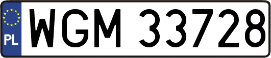 WGM33728