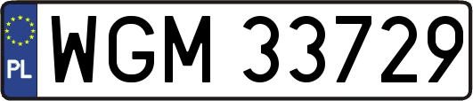 WGM33729