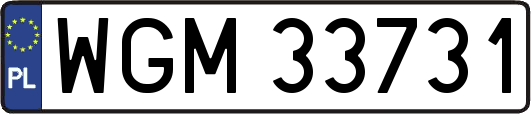 WGM33731