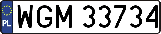 WGM33734