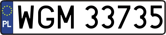 WGM33735